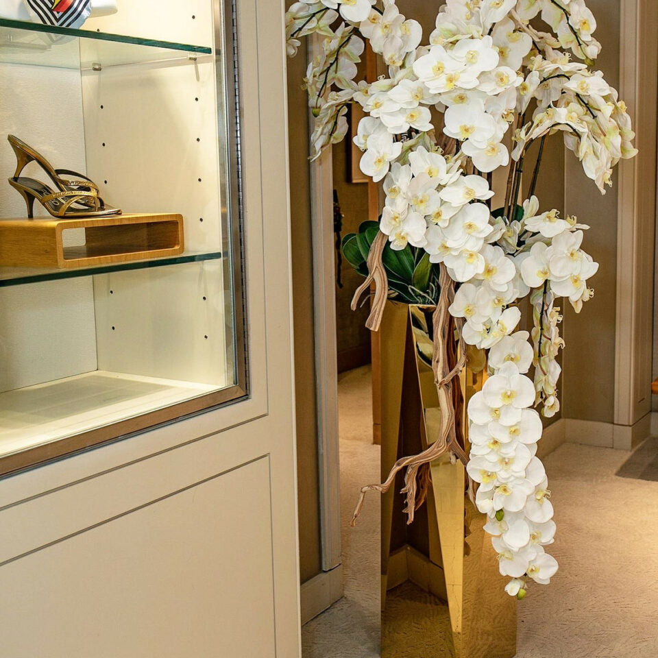 Orquídeas Phalaenopsis blancas en cascada en maceta prismática dorada