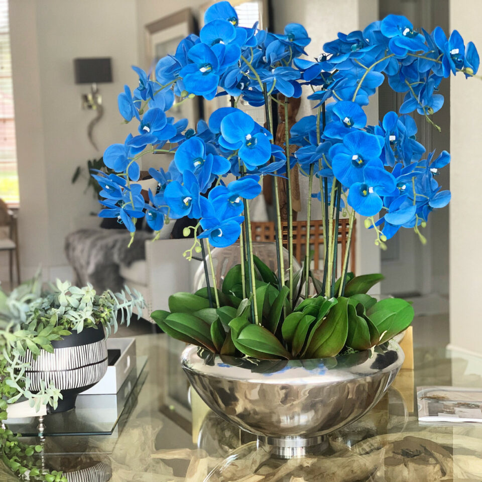 Arreglo de orquídeas Phalaenopsis azules en base decorativa Avenue
