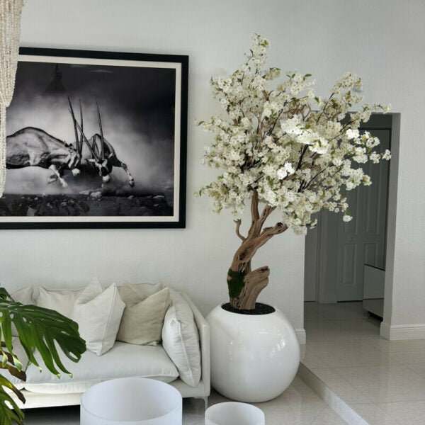 Árbol de cerezo en flor personalizado en maceta esférica blanca de alto brillo