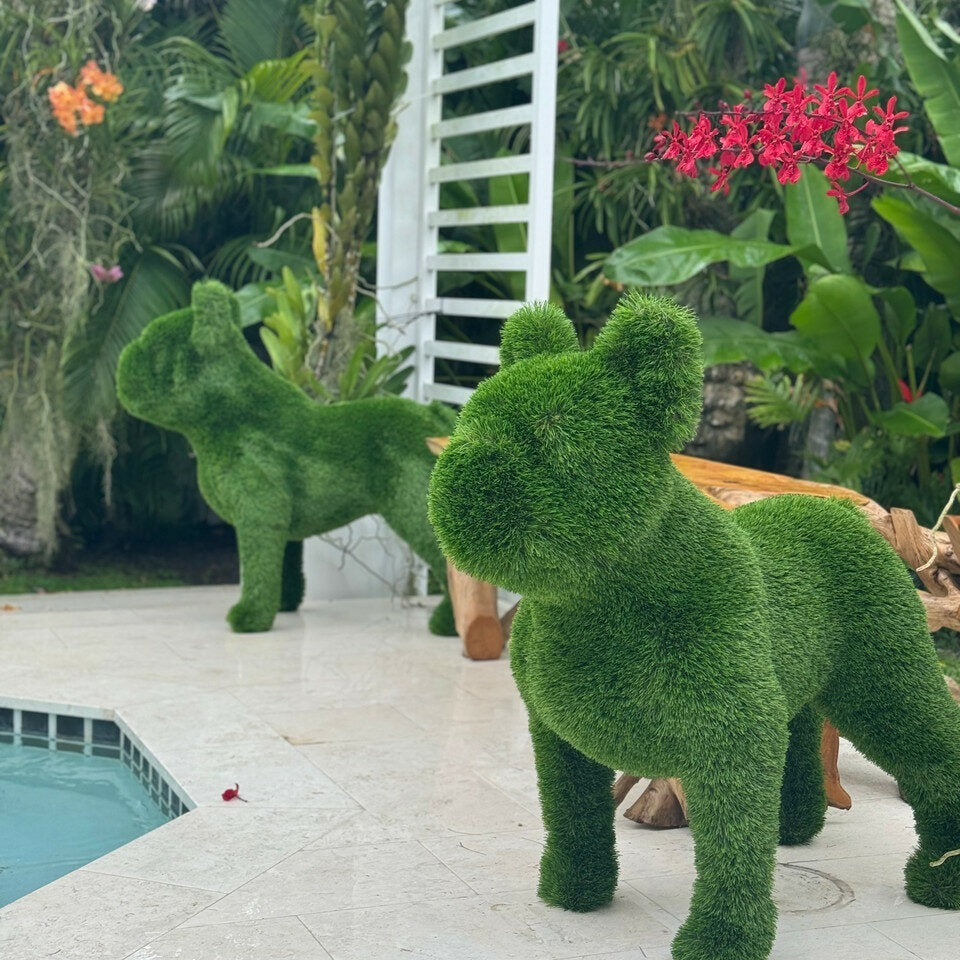Bulldog francés – Figura topiaria de pasto artificial