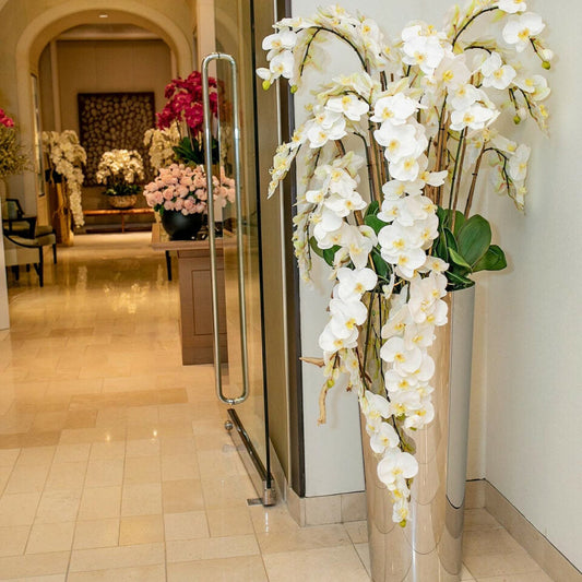 Orquídeas Phalaenopsis en cascada en jarrón cónico de acero inoxidable pulido