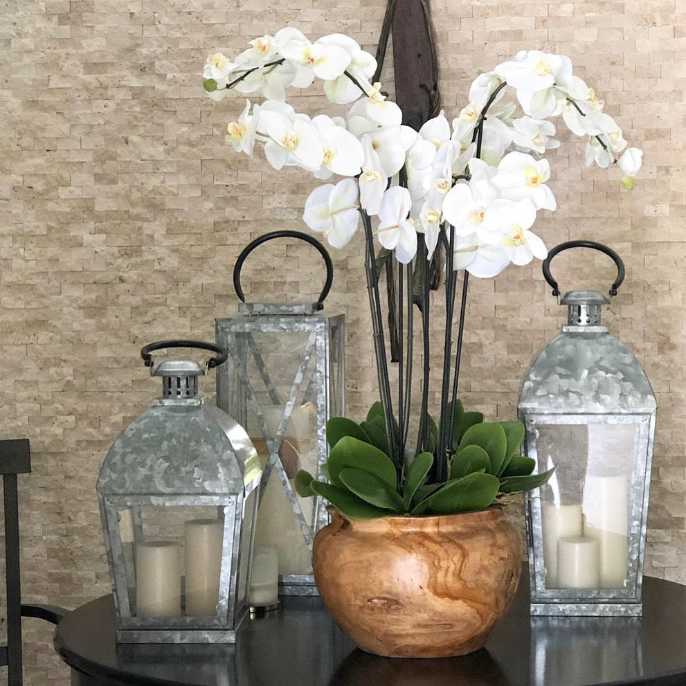 Orquídeas blancas en base grande de madera de teca