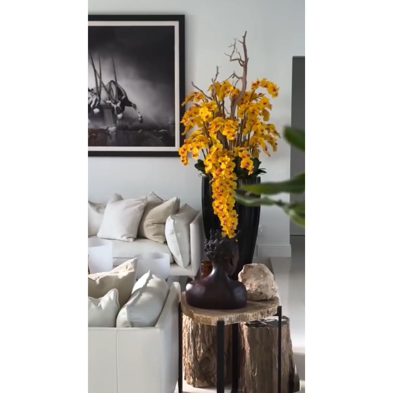 Orquídeas amarillas en cascada en maceta San Jose negra de alto brillo