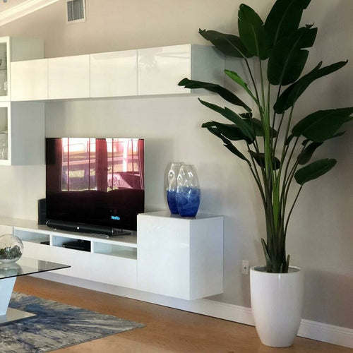 Planta ave del paraíso de 2.7 m con maceta Ben en blanco de alto brillo