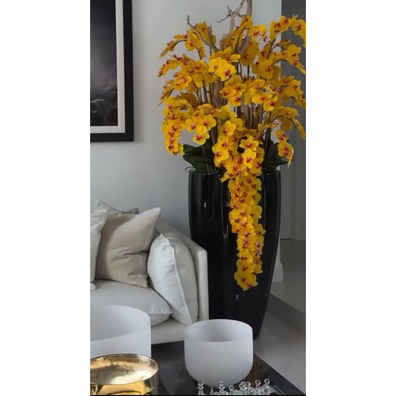 Orquídeas amarillas en cascada en maceta San Jose negra de alto brillo