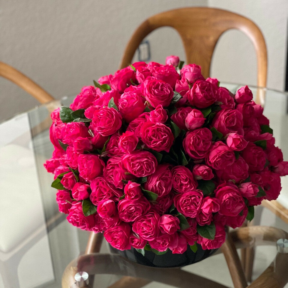 Rosas inglesas rosa intenso en jarrón de vidrio negro