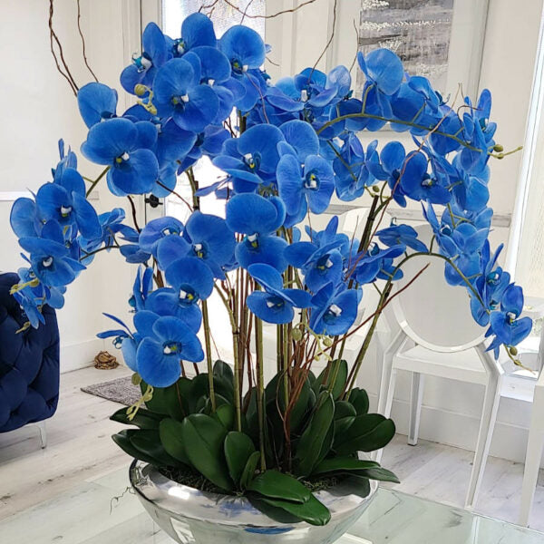 Arreglo de orquídeas Phalaenopsis azules en base decorativa Avenue