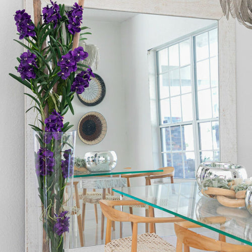 Orquídeas Vanda moradas con madera de arrastre en jarrón cónico de vidrio