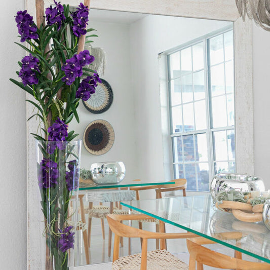 Orquídeas Vanda moradas con madera de arrastre en jarrón cónico de vidrio