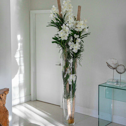 Orquídeas Vanda blancas con madera de arrastre en jarrón cónico grande de vidrio