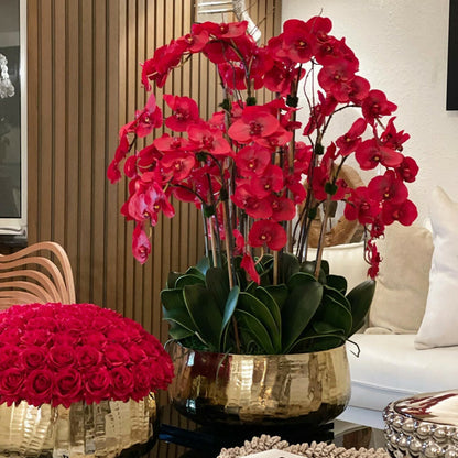 Orquídeas Phalaenopsis rojas en maceta dorada mediana