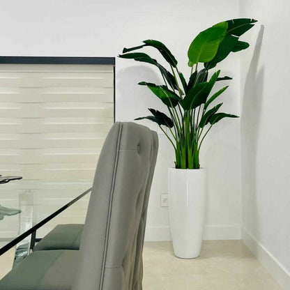 Planta ave del paraíso de 2.1 m con maceta Dax L