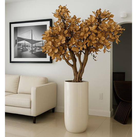 NOVEDAD – Árbol de magnolia con flores beige en maceta St. Tropez blanca de alto brillo