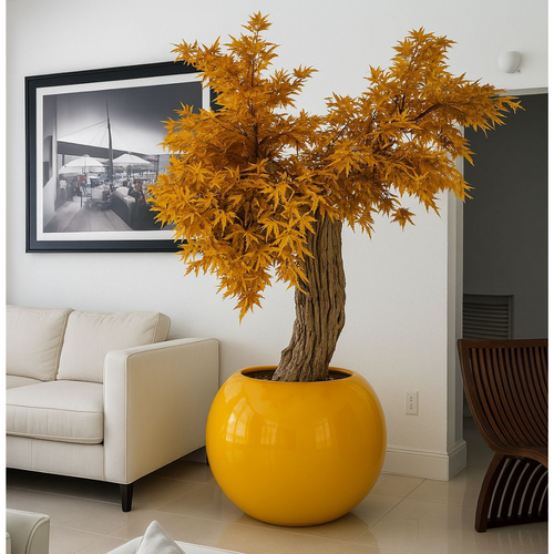 NOVEDAD – Árbol de arce japonés en maceta esférica amarilla de alto brillo
