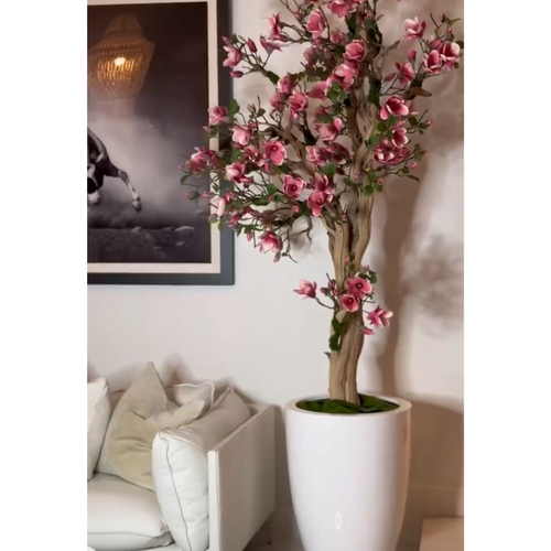 NOVEDAD – Árbol de magnolia rosa en maceta St. Tropez blanca
