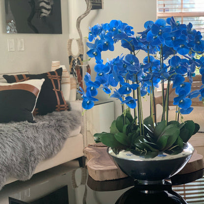 Arreglo de orquídeas Phalaenopsis azules en base decorativa Avenue