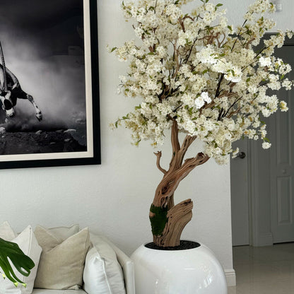 Árbol de cerezo en flor personalizado en maceta esférica blanca de alto brillo