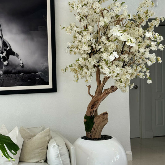 Árbol de cerezo en flor personalizado en maceta esférica blanca de alto brillo