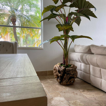 Alocasia artificial en base grande de madera de teca