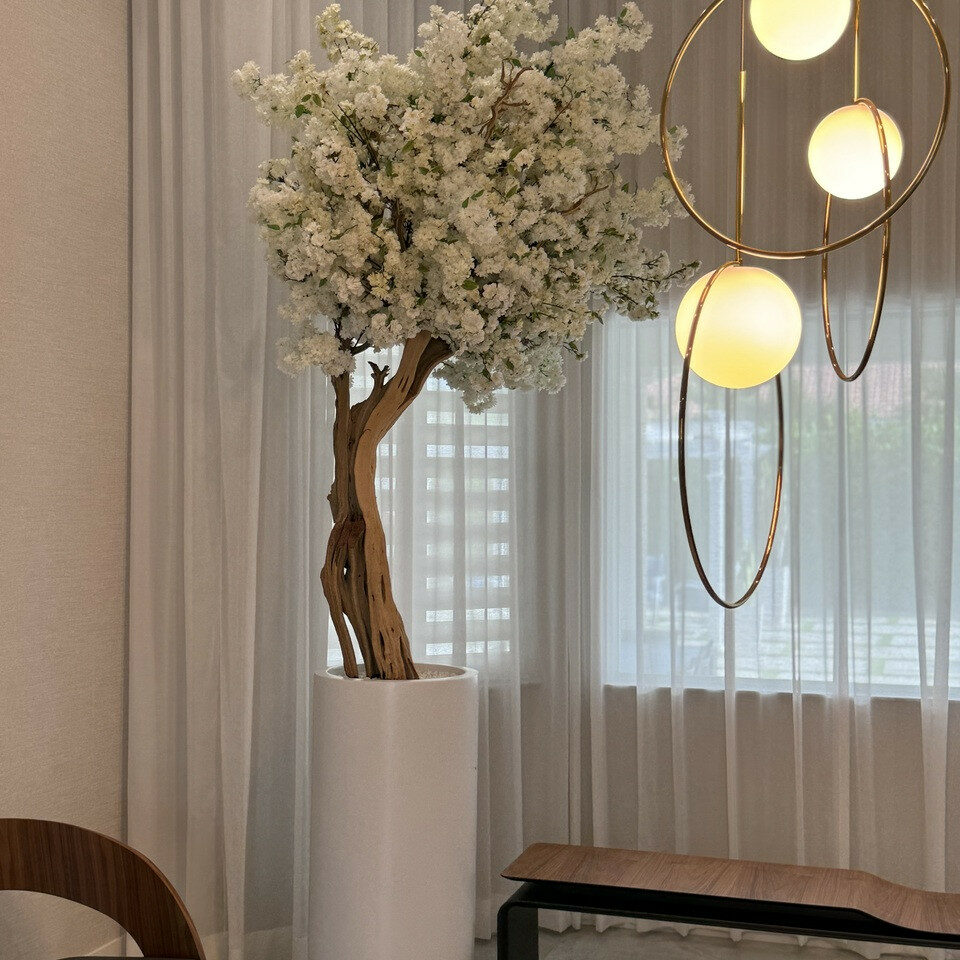 Árbol de cerezo con flores blancas en maceta St. Tropez beige mate