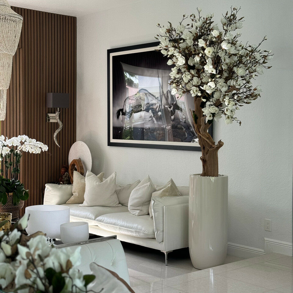 Árbol de magnolia blanca en maceta St. Tropez beige brillante