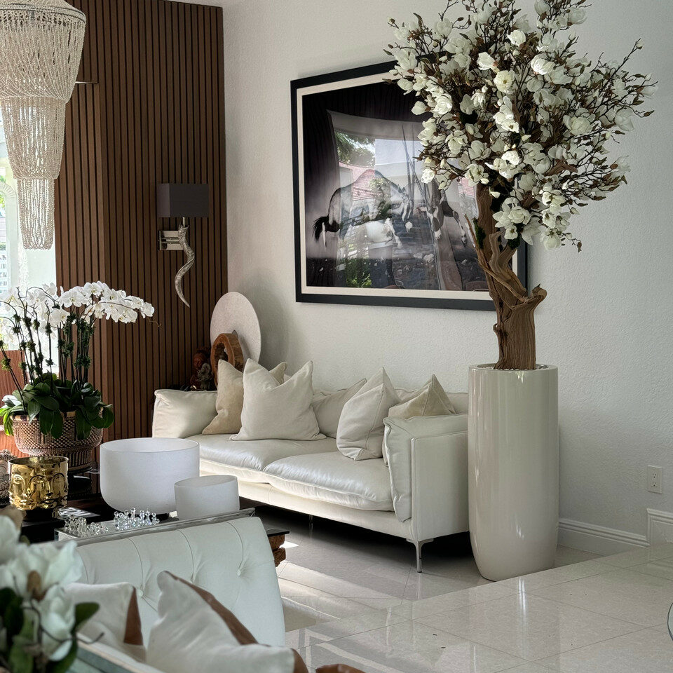 Árbol de magnolia blanca en maceta St. Tropez beige brillante