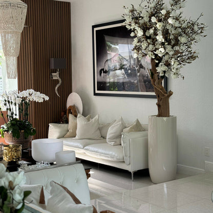 Árbol de magnolia blanca en maceta St. Tropez beige brillante