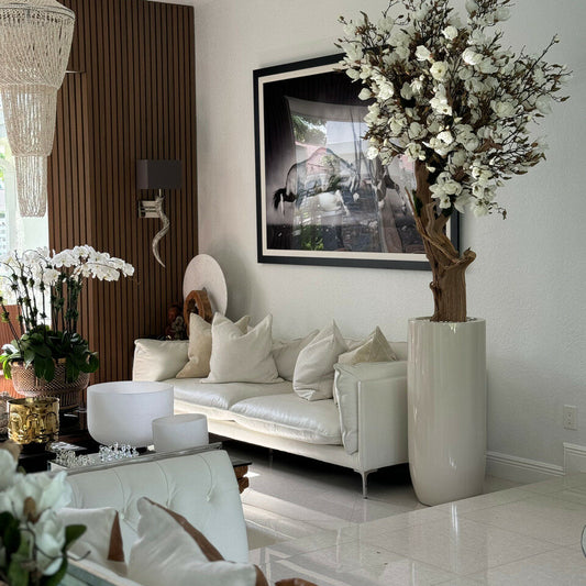 Árbol de magnolia blanca en maceta St. Tropez beige brillante