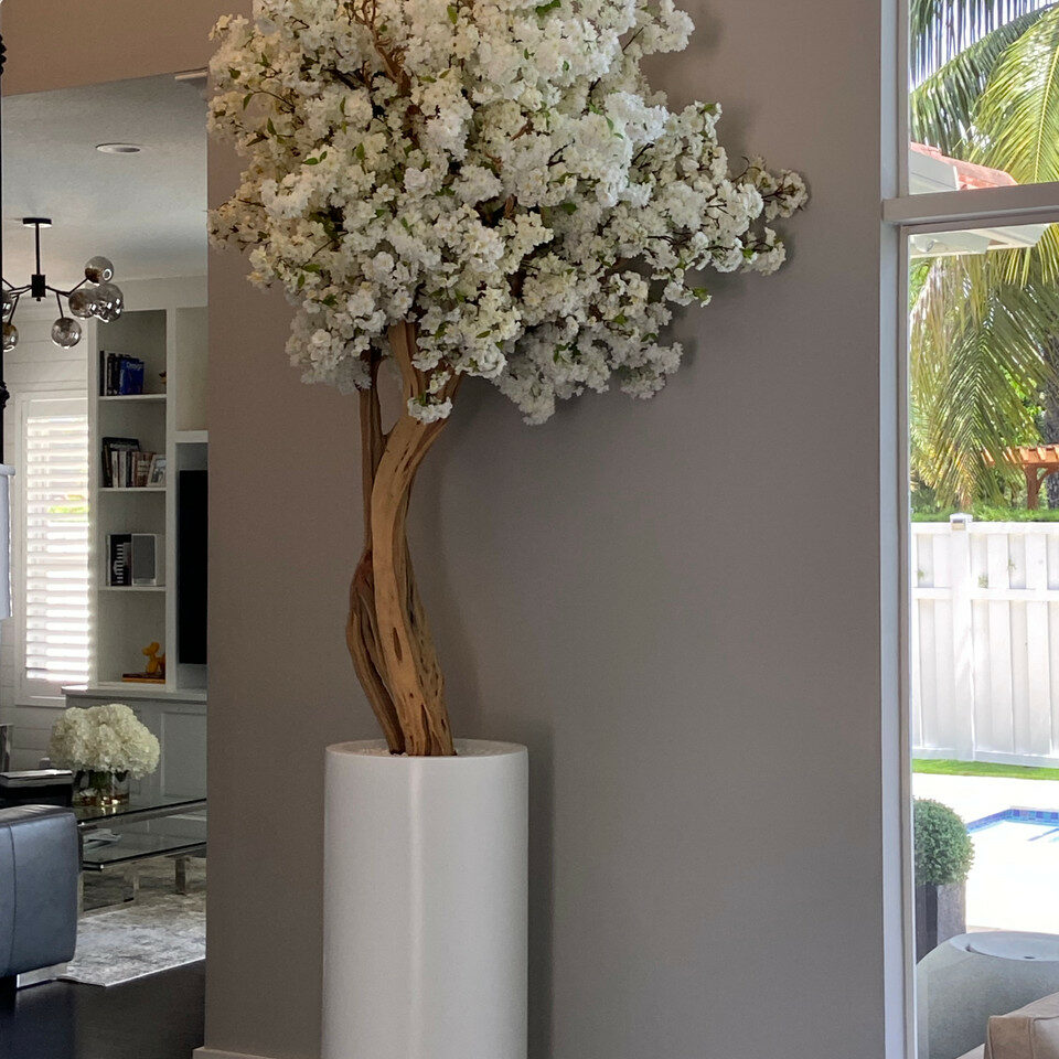 Árbol de cerezo con flores blancas en maceta St. Tropez beige mate