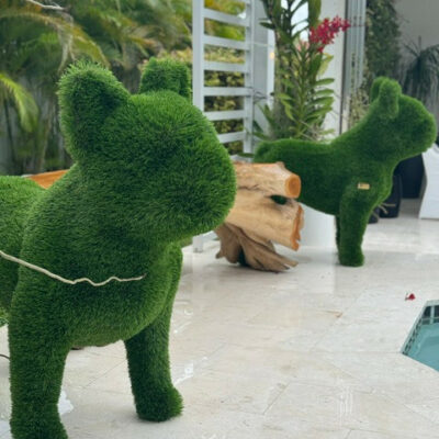 Bulldog francés – Figura topiaria de pasto artificial