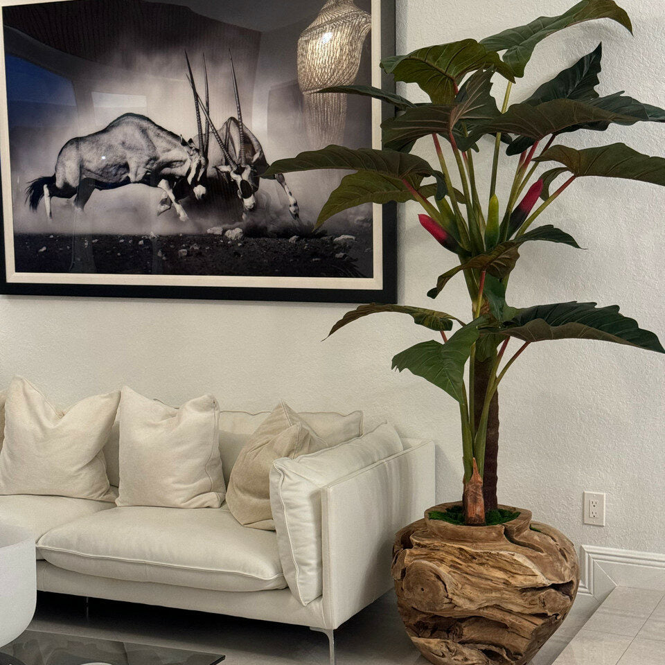 Alocasia artificial en base grande de madera de teca