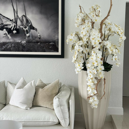Orquídeas blancas en cascada en maceta San Jose beige arena
