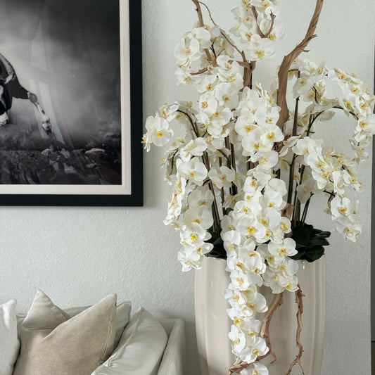 Orquídeas blancas en cascada en maceta San Jose beige arena