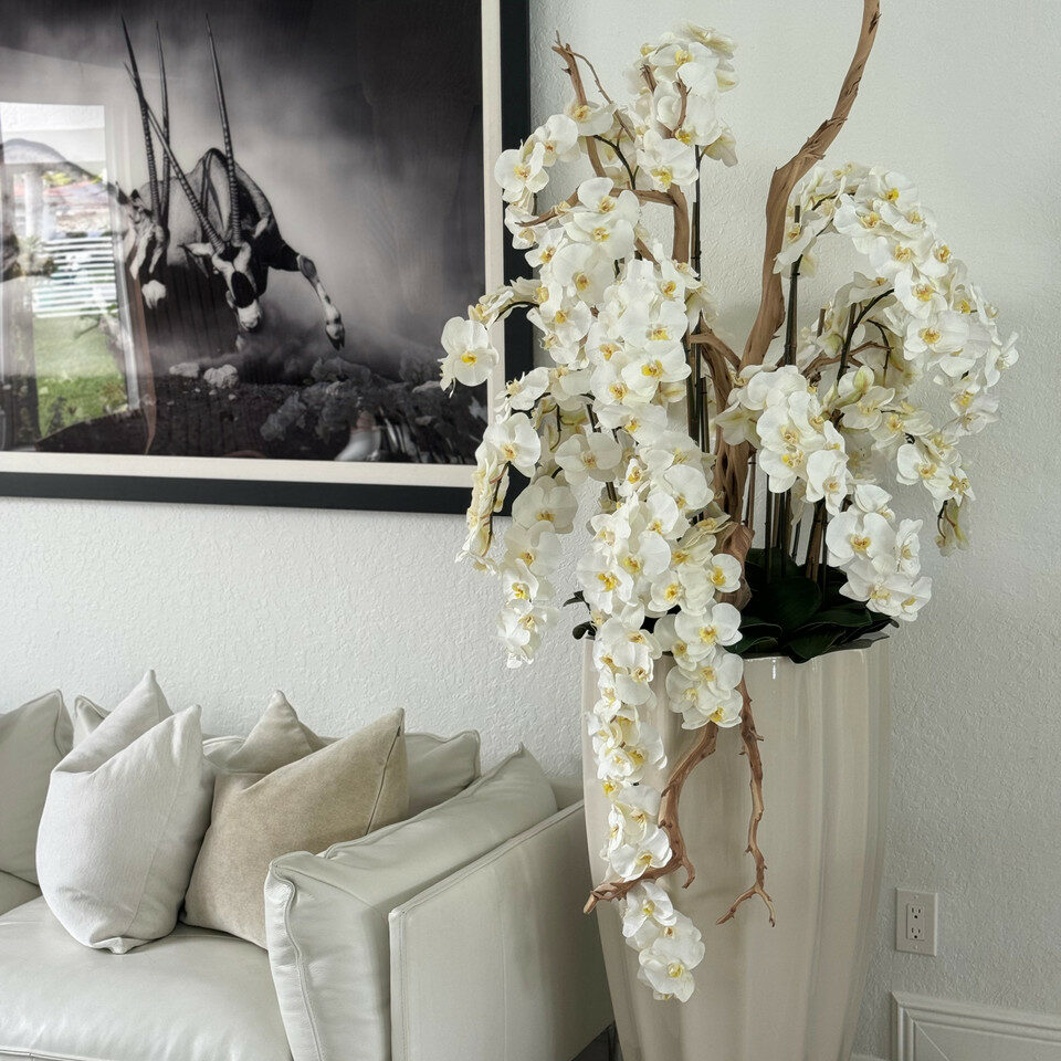 Orquídeas blancas en cascada en maceta San Jose beige arena