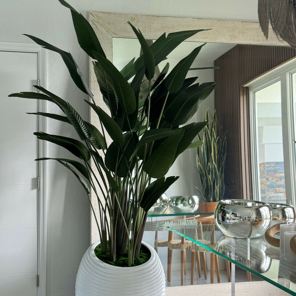 Planta ave del paraíso en maceta blanca con diseño en espiral