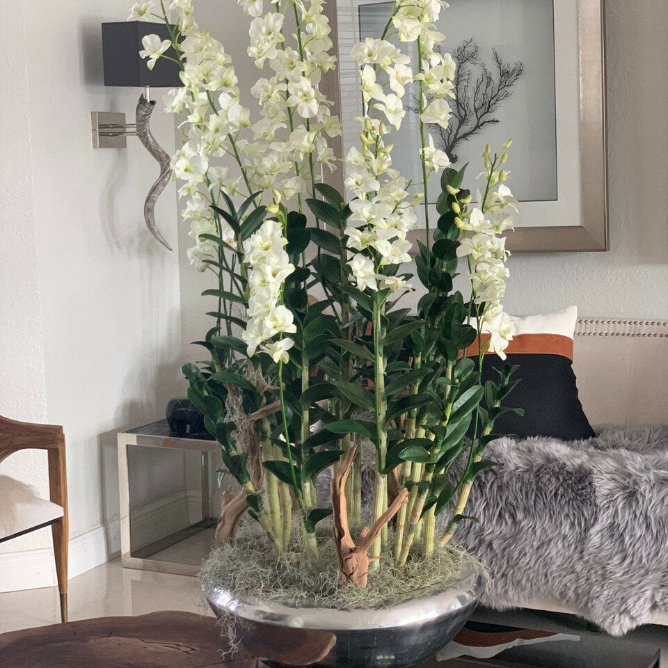 Jardinera Avenue con orquídeas Dendrobium blancas