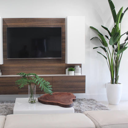 Planta ave del paraíso de 2.7 m con maceta Ben en blanco de alto brillo