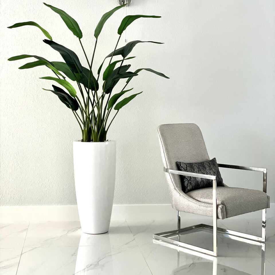Planta ave del paraíso de 2.1 m con maceta Dax L