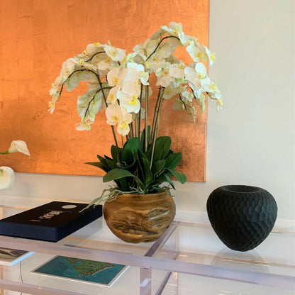 Orquídeas blancas en base grande de madera de teca