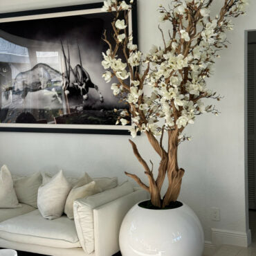 Árbol de magnolia blanca en maceta esférica blanca de alto brillo de 76 cm