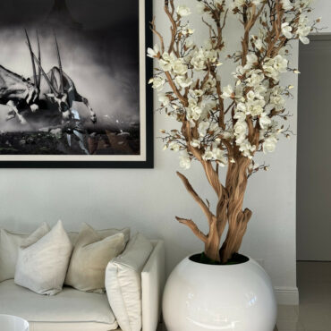 Árbol de magnolia blanca en maceta esférica blanca de alto brillo de 76 cm