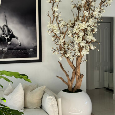 Árbol de magnolia blanca en maceta esférica blanca de alto brillo de 76 cm