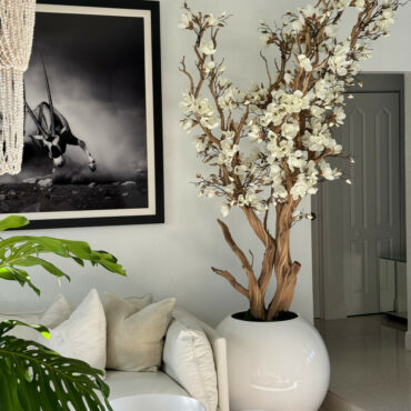 Árbol de magnolia blanca en maceta esférica blanca de alto brillo de 76 cm