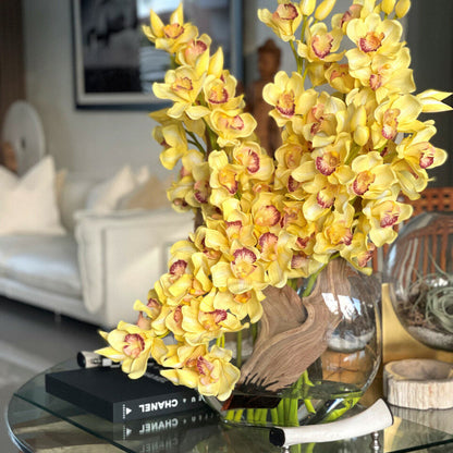 Orquídeas Cymbidium amarillas en jarrón Lunar