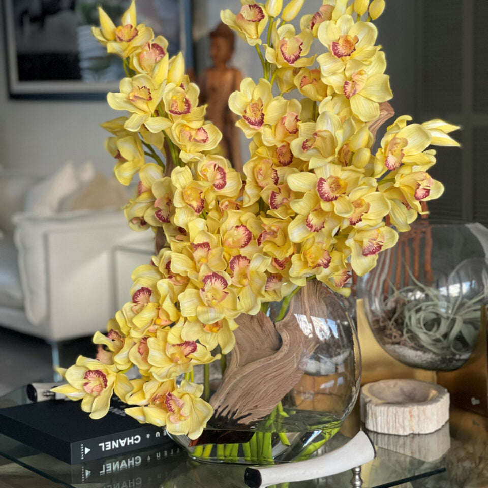 Orquídeas Cymbidium amarillas en jarrón Lunar