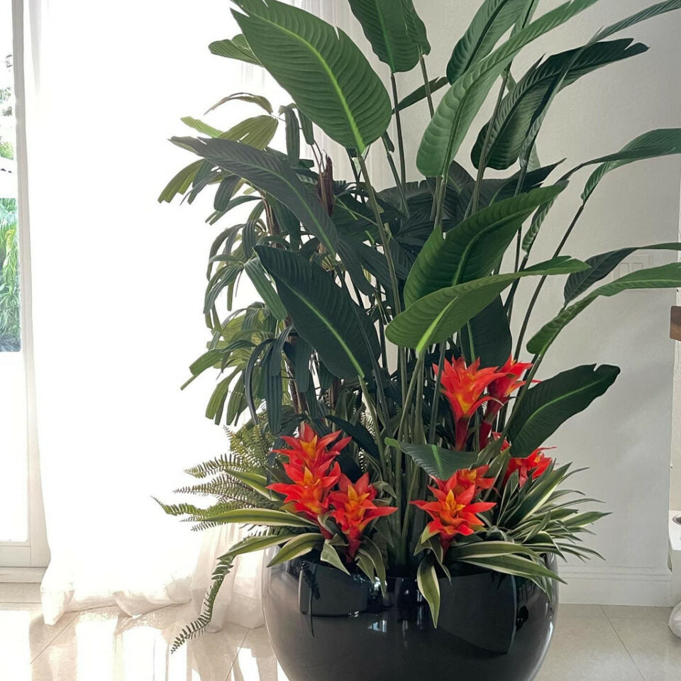 Arreglo de plantas tropicales en maceta Terragona negra