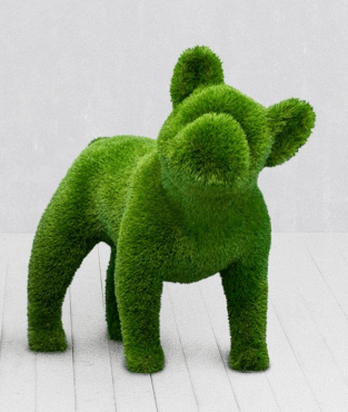 Bulldog francés – Figura topiaria de pasto artificial
