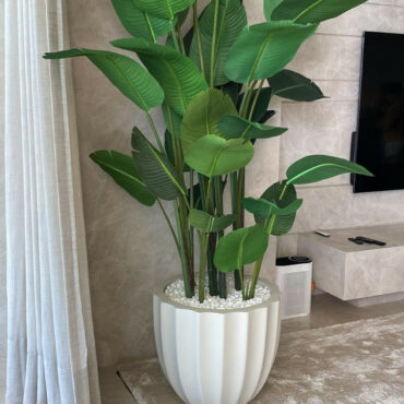 Planta ave del paraíso en maceta Santa Bárbara beige mate
