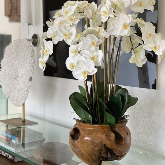 Orquídeas blancas en base grande de madera de teca